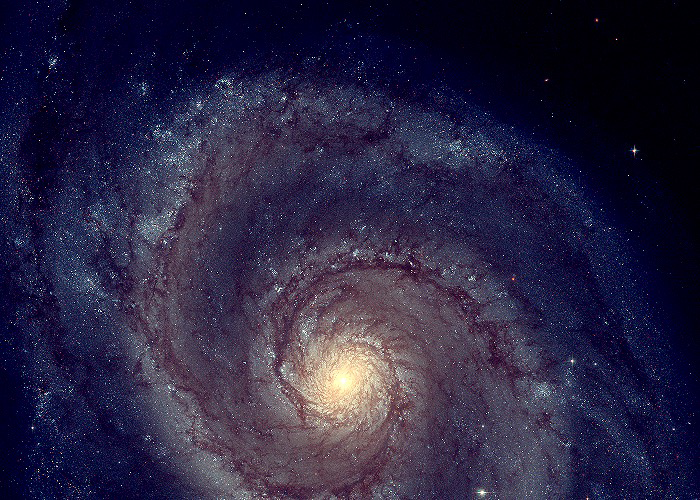 Claire C. | Claire's Whirlpool Galaxy