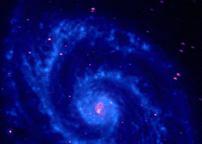 Sophie A. | Sophie's Whirlpool Galaxy