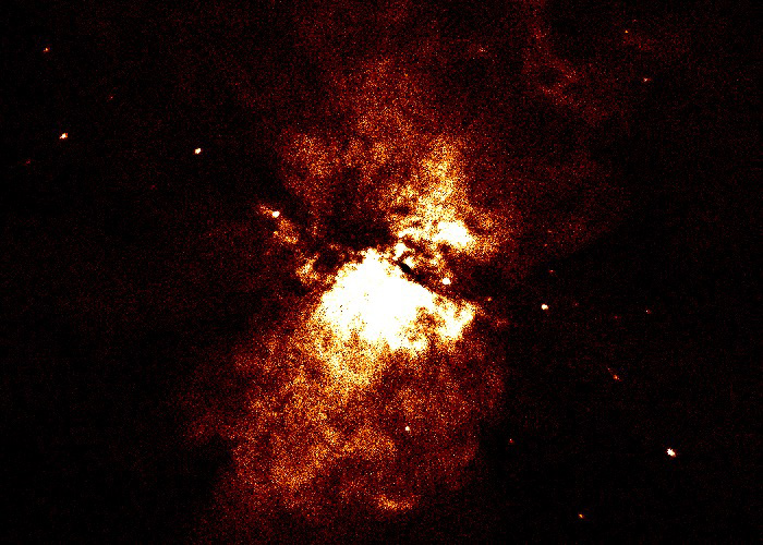 Debendra B. | M82 in Warmth