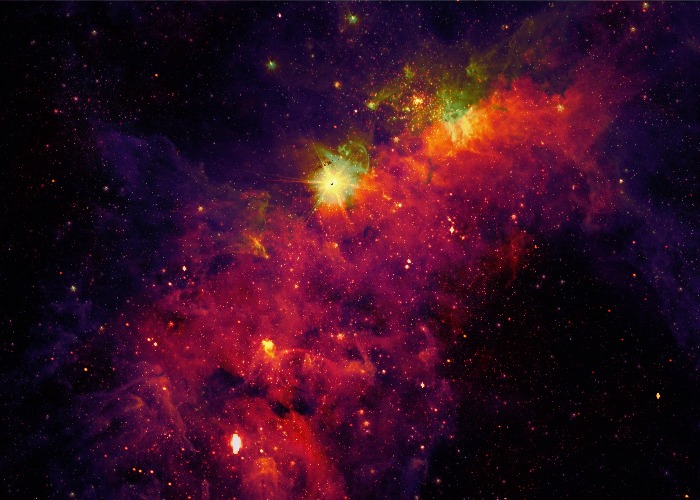 Shweta N. | Shades of pink of the Carina Nebula