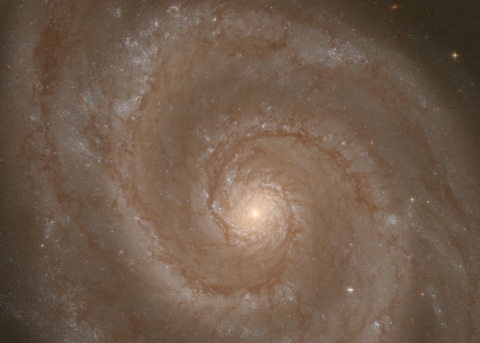 Alana L. | The Hubble Galaxy