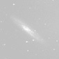 NGC 253 thumbnail